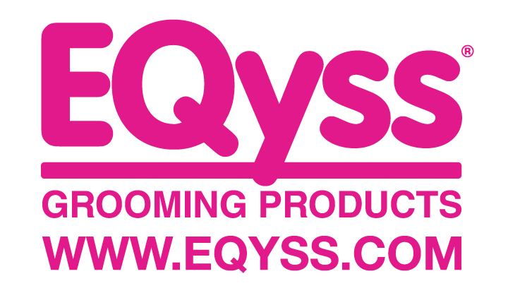 Eqyss logo